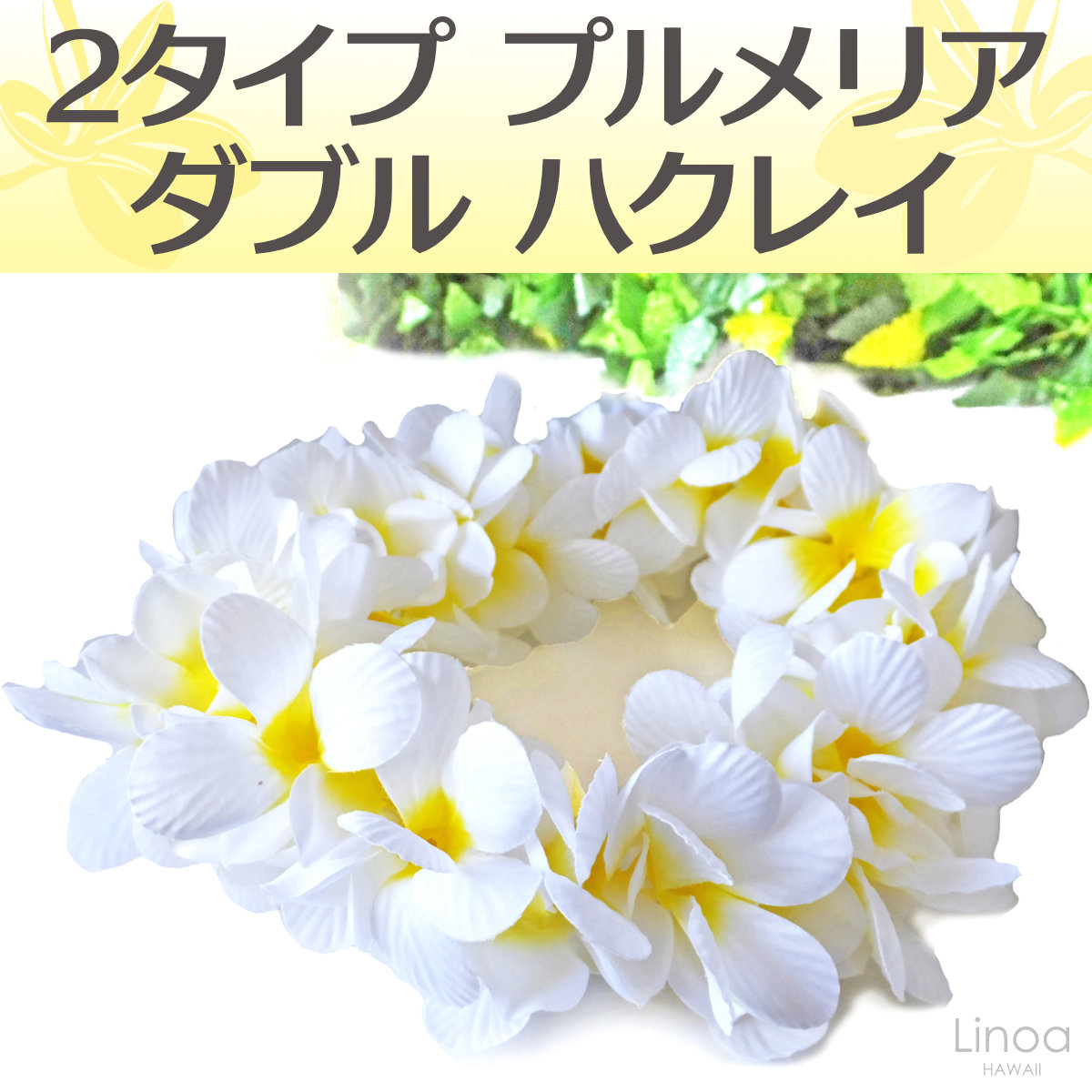 フラダンスのハクレイ