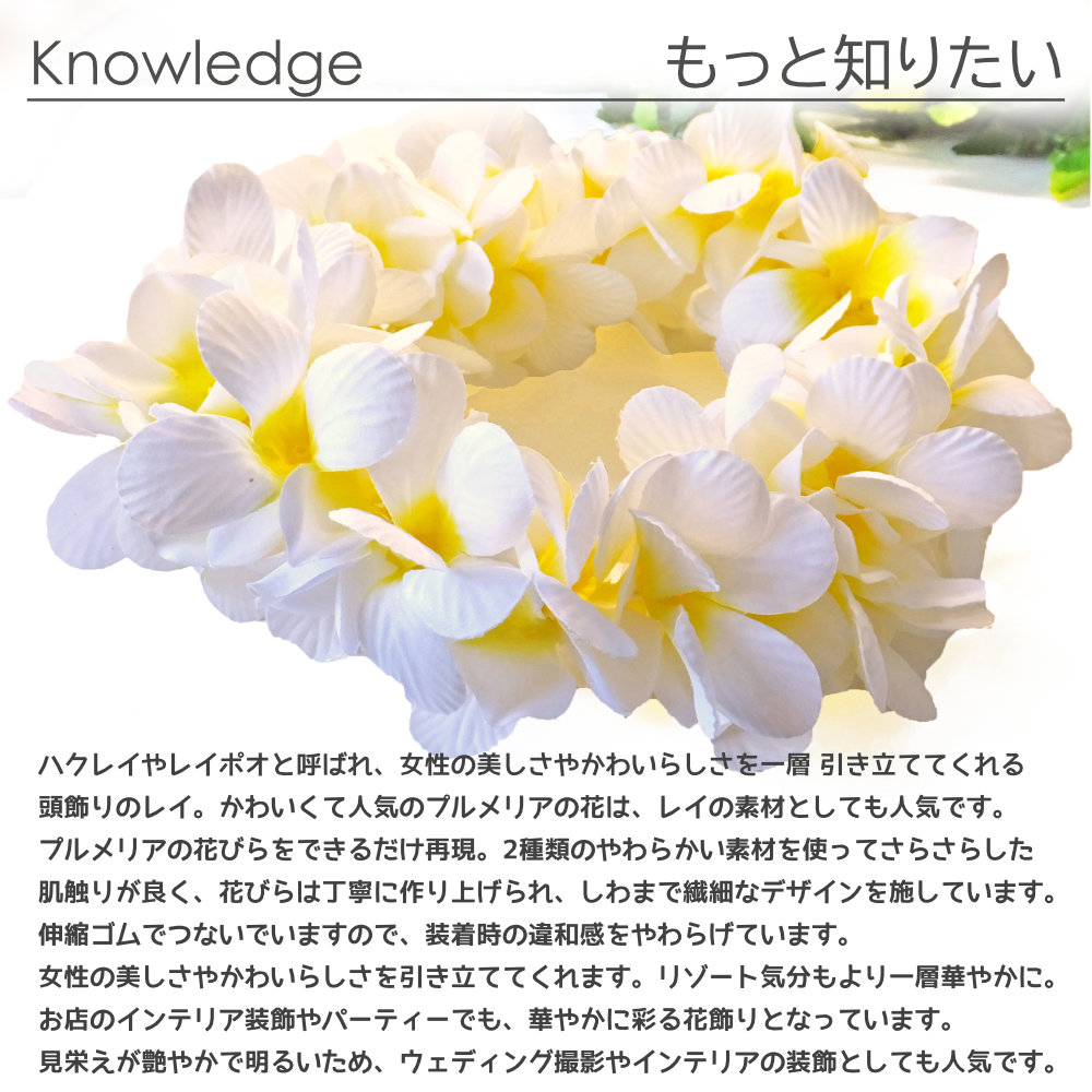 フラダンスのハクレイ