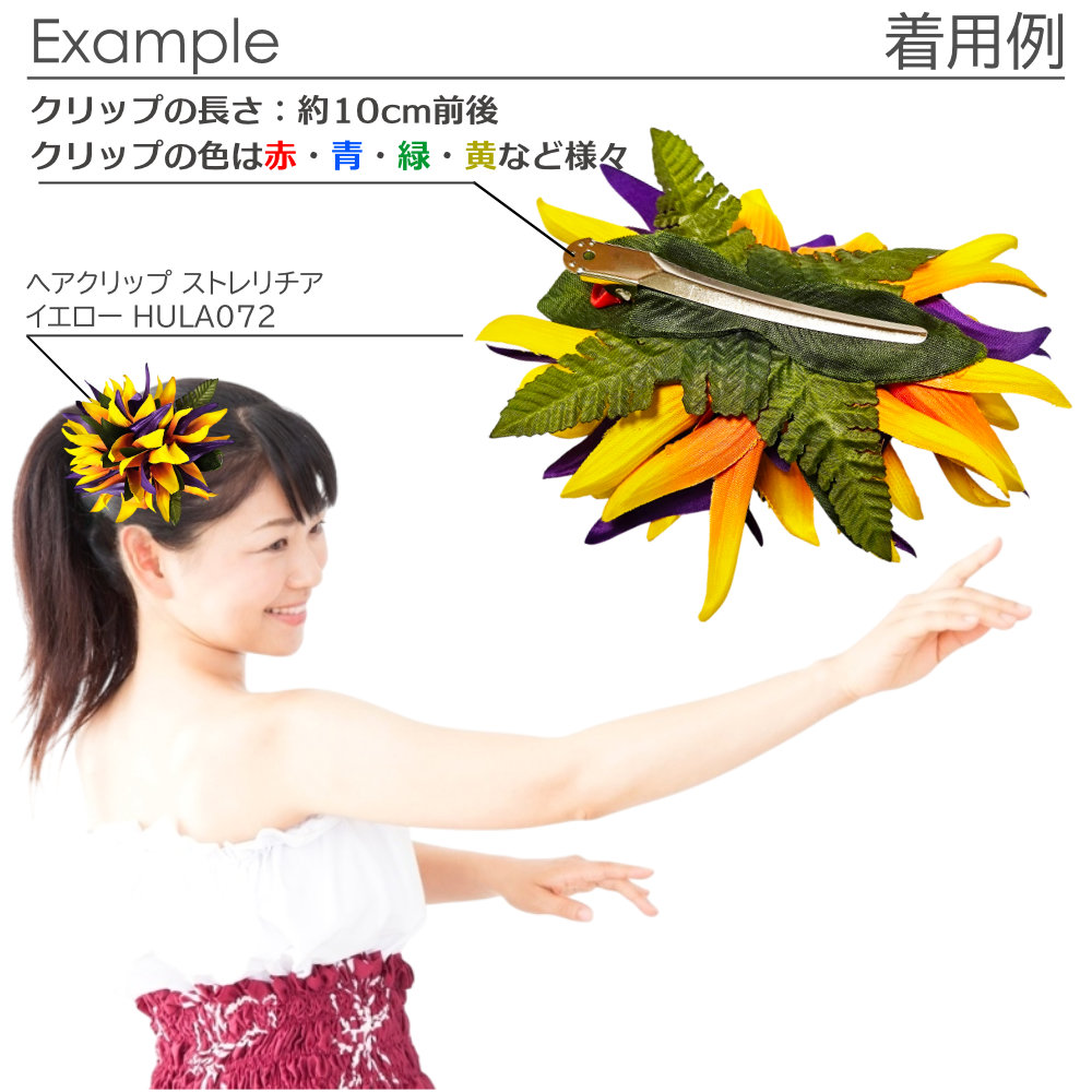 フラダンス ヘアクリップ バードオブパラダイス ストレリチア 極楽鳥花