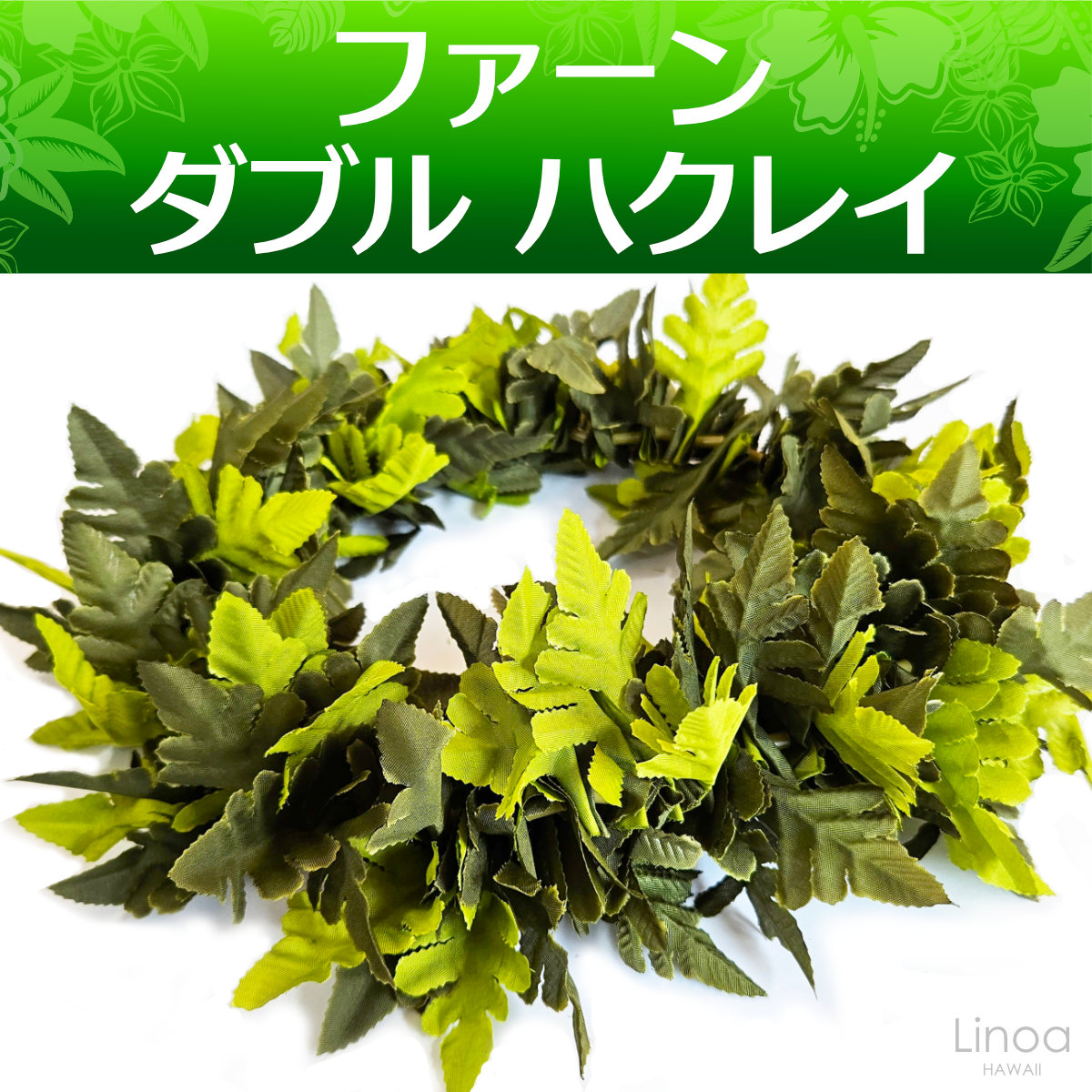 フラダンスやタヒチダンスのハクレイシダ"