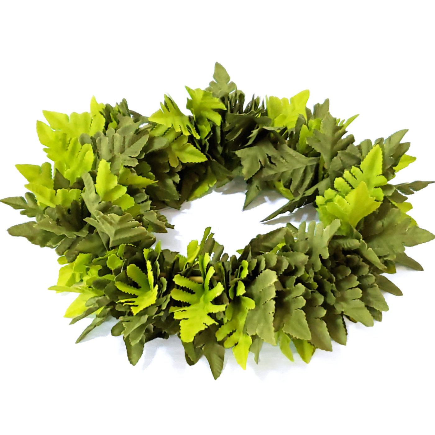 フラダンスやタヒチダンスのハクレイシダ"