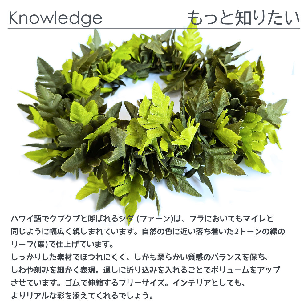 フラダンスやタヒチダンスのハクレイシダ"