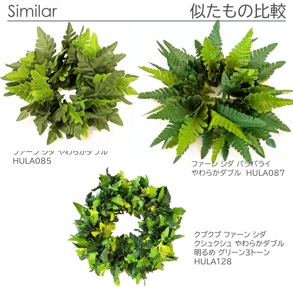 フラダンスやタヒチダンスのブレスレットシダ"img