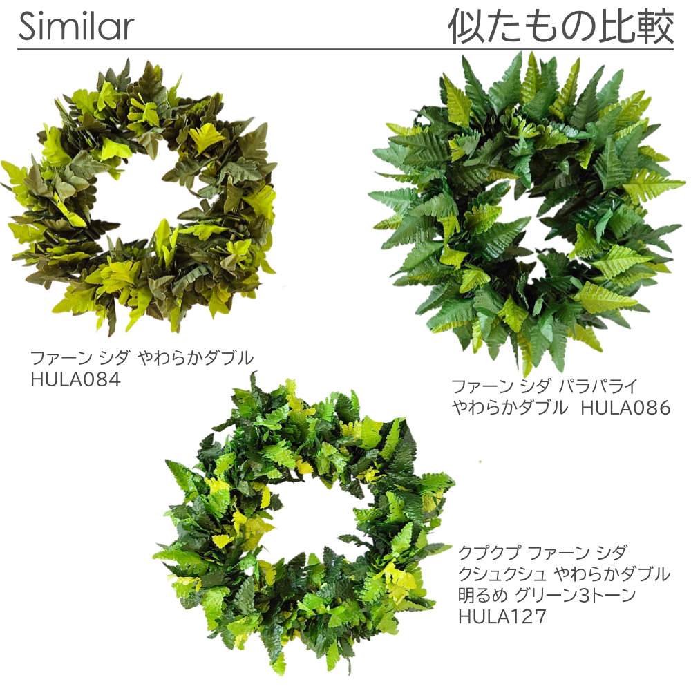 フラダンスやタヒチダンスのハクレイシダのパラパライ"