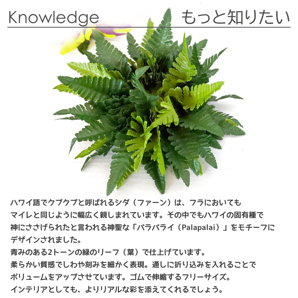 フラダンスやタヒチダンスのブレスレットシダのパラパライ"