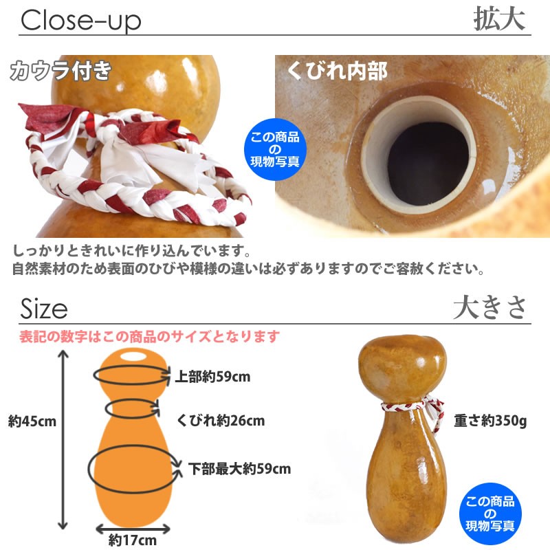 ハワイアン フラダンス 楽器 イプ ヘケ 高さ45cm カウラ付き