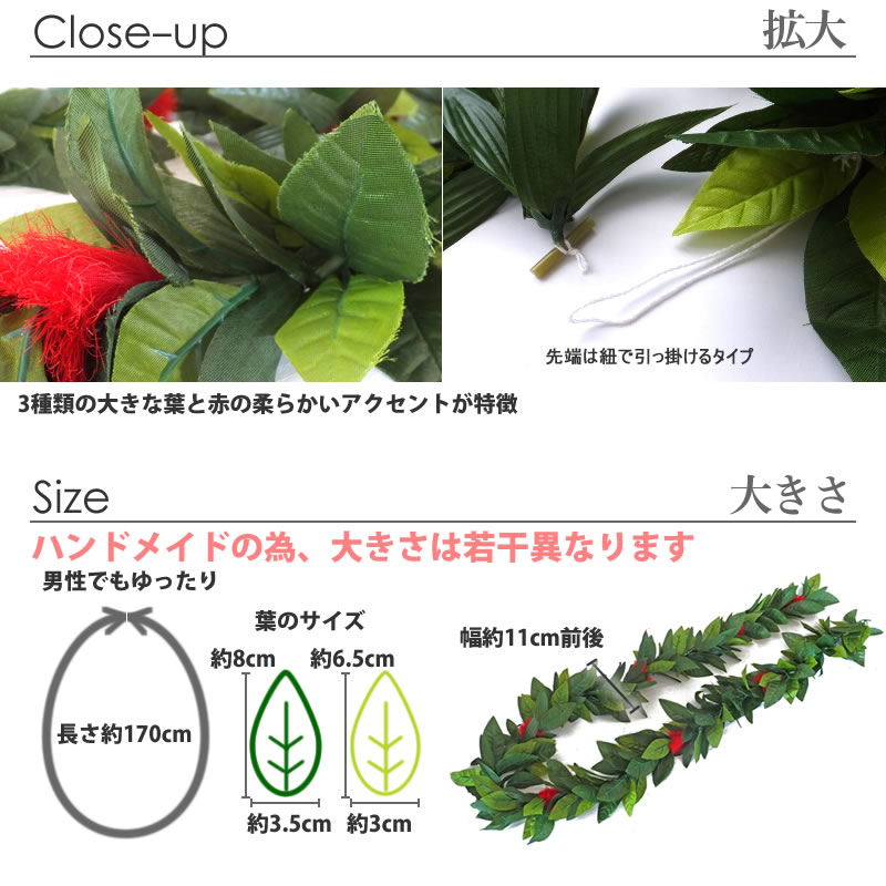フラ、ハワイアンのアクセサリー