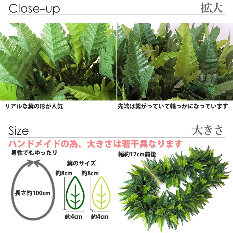 フラダンスのハクレイ ファーン シダ