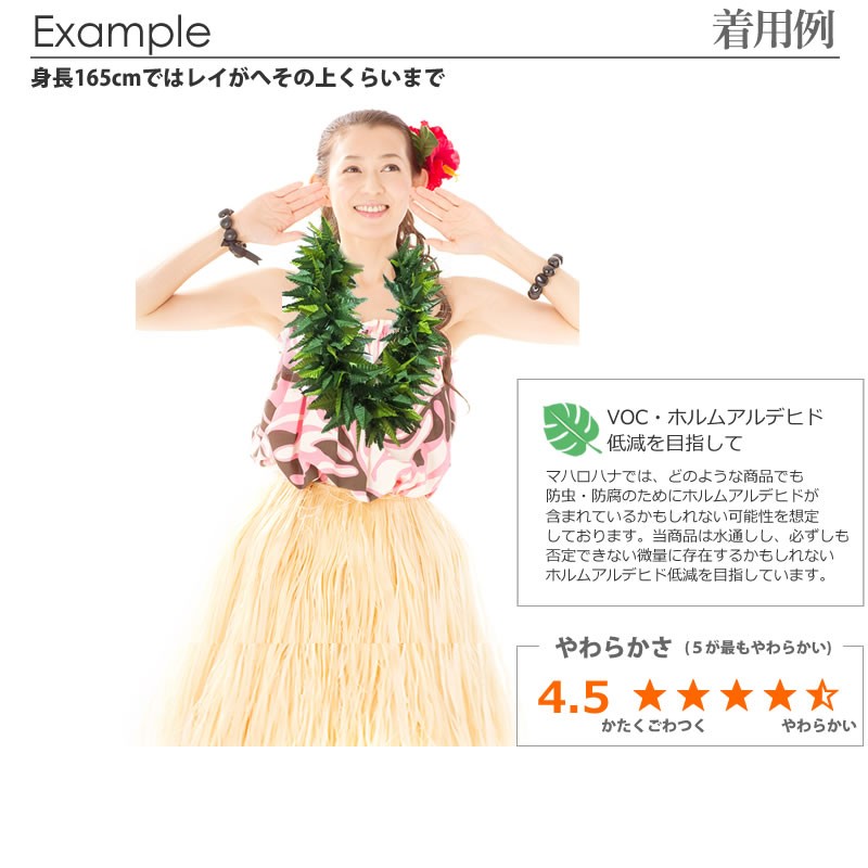 フラダンスのハクレイ ファーン シダ