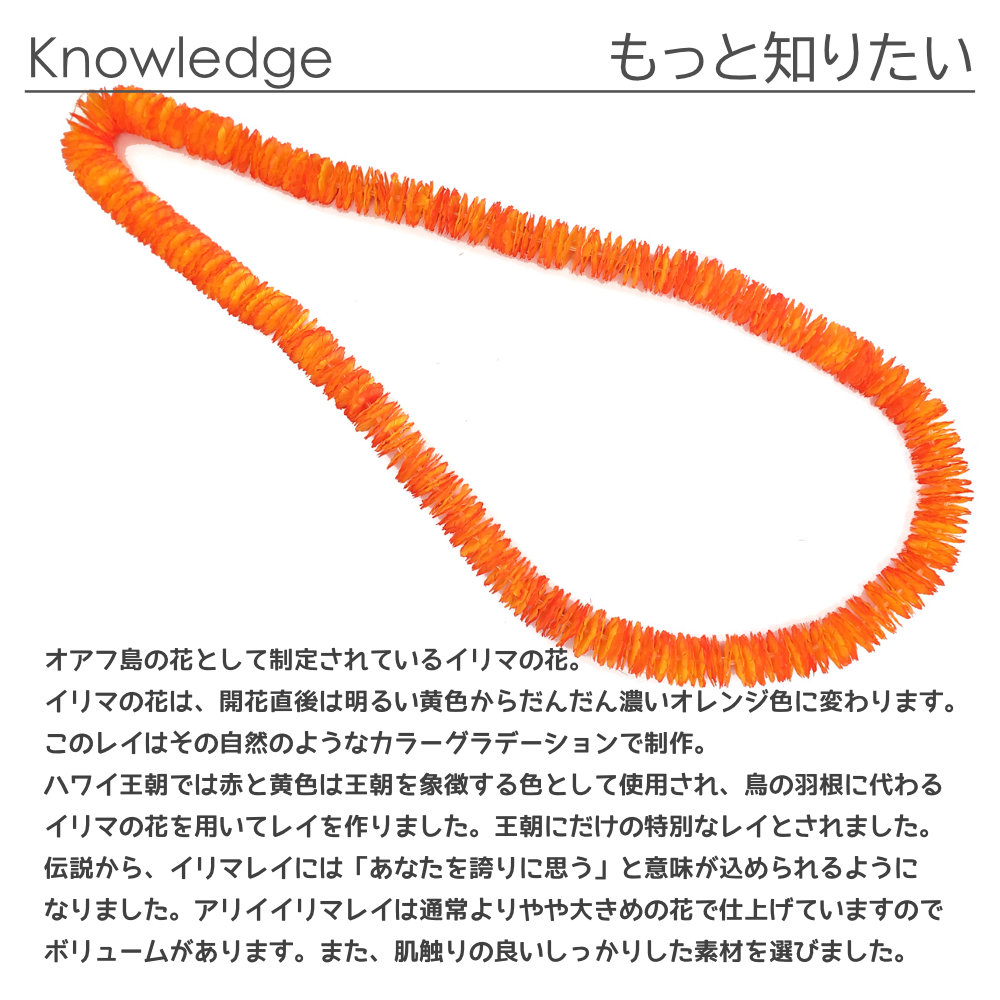 フラダンスのプルメリアシングルレイ(オレンジイエロー)