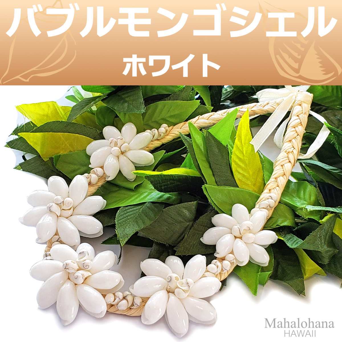フラダンスのモンゴシェルバブルシェルレイ
