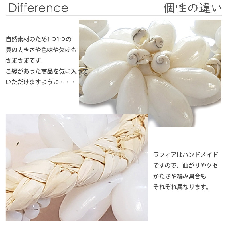 フラダンスのモンゴシェルバブルシェルレイ