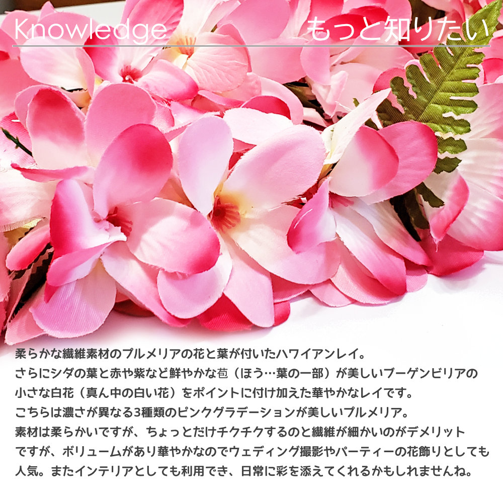 フラダンスのプルメリアブーゲンビリアレイ(ピンクホワイト)