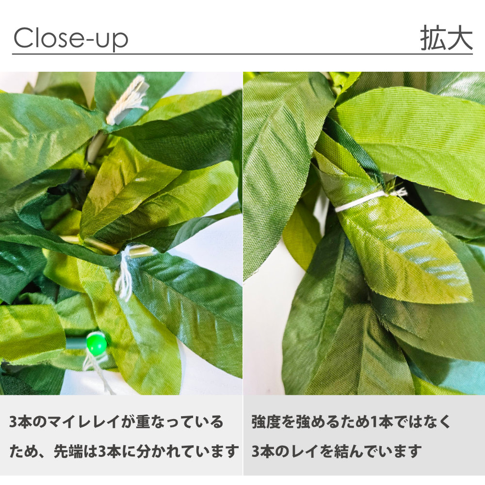 フラダンスマイレトリプルレイ180cm