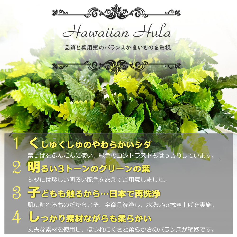 フラダンスやタヒチダンスのハクレイシダ"