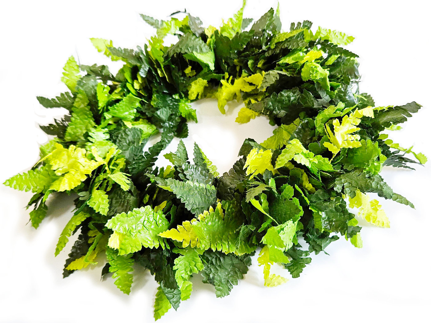 フラダンスやタヒチダンスのハクレイシダ"