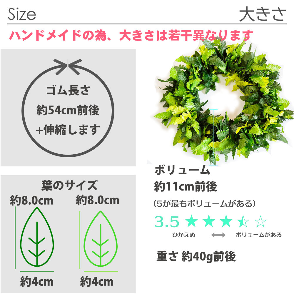 フラダンスやタヒチダンスのハクレイシダ"