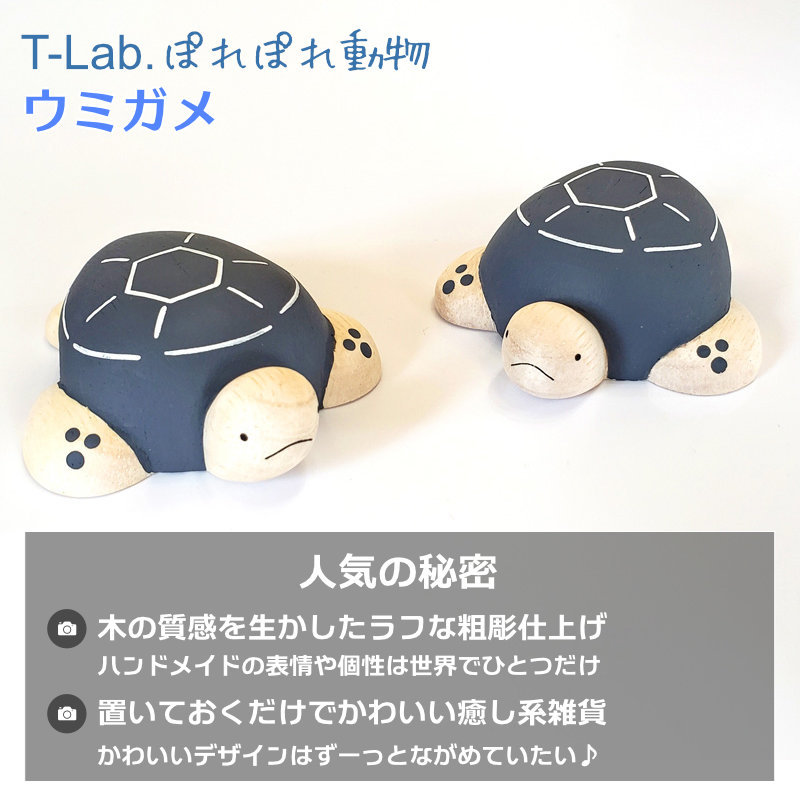 ぽれぽれ動物 ウミガメ うみがめ カメ 亀 海がめ 海ガメ ホヌ