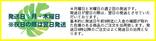 発送日