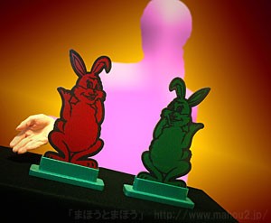hippity_hop_rabbit5.jpg