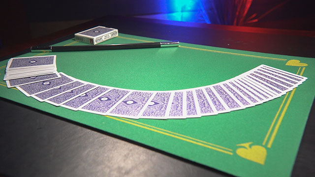 マーフィーズ・クロースアップパッド（小・PIP・緑）1