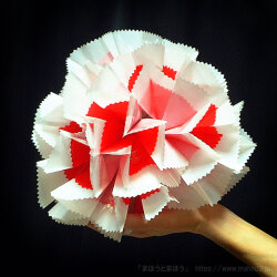 楠玉プラ製紅白［25cm］