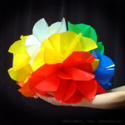楠玉プラ大［37cm］