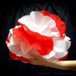 楠玉プラ製紅白［40cm］