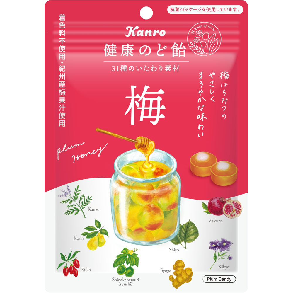 カンロ 健康のど飴 梅 90g × 6個 着色料不使用 紀州産 梅果汁 カンロ 健康のど飴 梅 90g × 6個 着色料不使用 紀州産 梅果汁