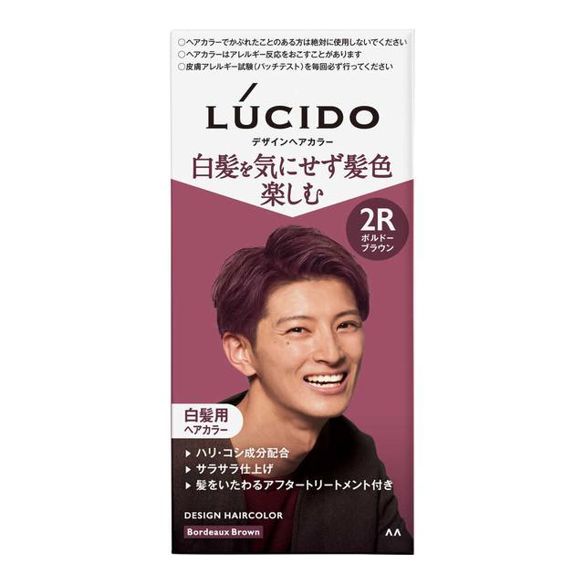 【医薬部外品】ルシード デザインヘアカラー ボルドーブラウン 1剤35g・2剤70ml・トリートメント5g メンズ用 白髪染め マンダム｜maidora