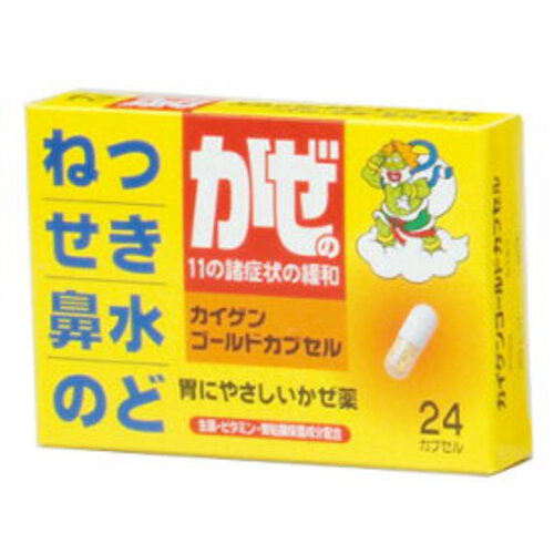 【指定第2類医薬品】カイゲンゴールドカプセル 24カプセル | 