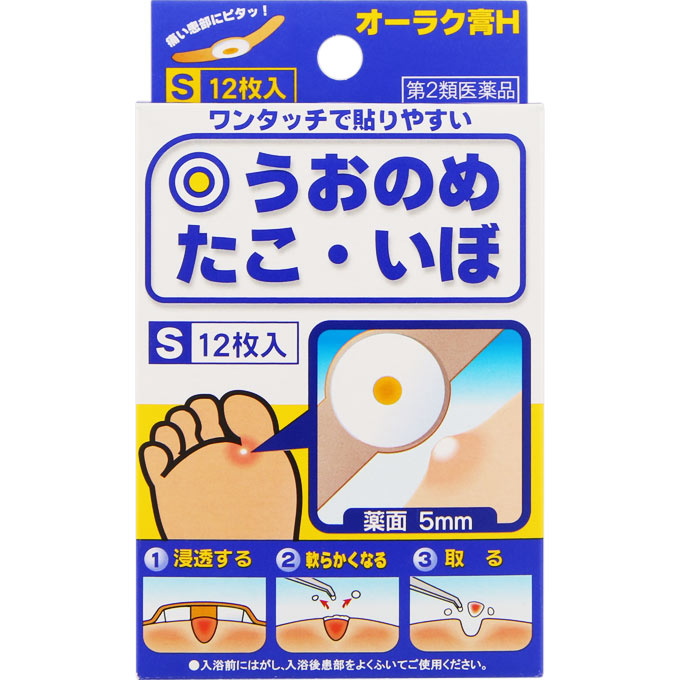 2ʡ۶Ωʹ 饯H S 12    Ϲ
