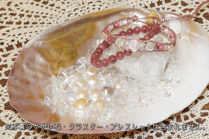 お歳暮・冬ギフト特集 2024 人気ランキング パールシェル ホワイトセージ5g イケチョウ貝 1個売り 置物