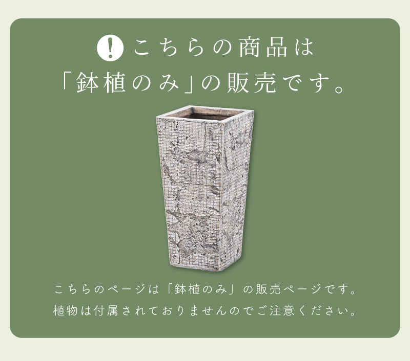 プランター 植木鉢 5号用 おしゃれ モダン シンプル グリーンポット 鉢植え 安い 人気