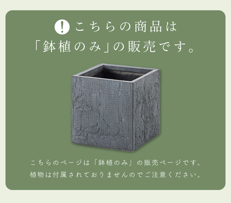 プランター 植木鉢 8号用 おしゃれ モダン シンプル グリーンポット 鉢植え 安い 人気