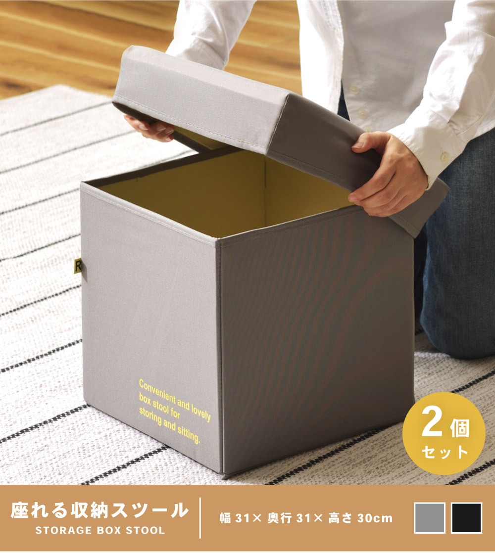 東谷 スツール 収納 2個セット 収納スツールボックス 収納スツール 東谷 スツール 収納 2個セット 収納スツールボックス 収納スツール