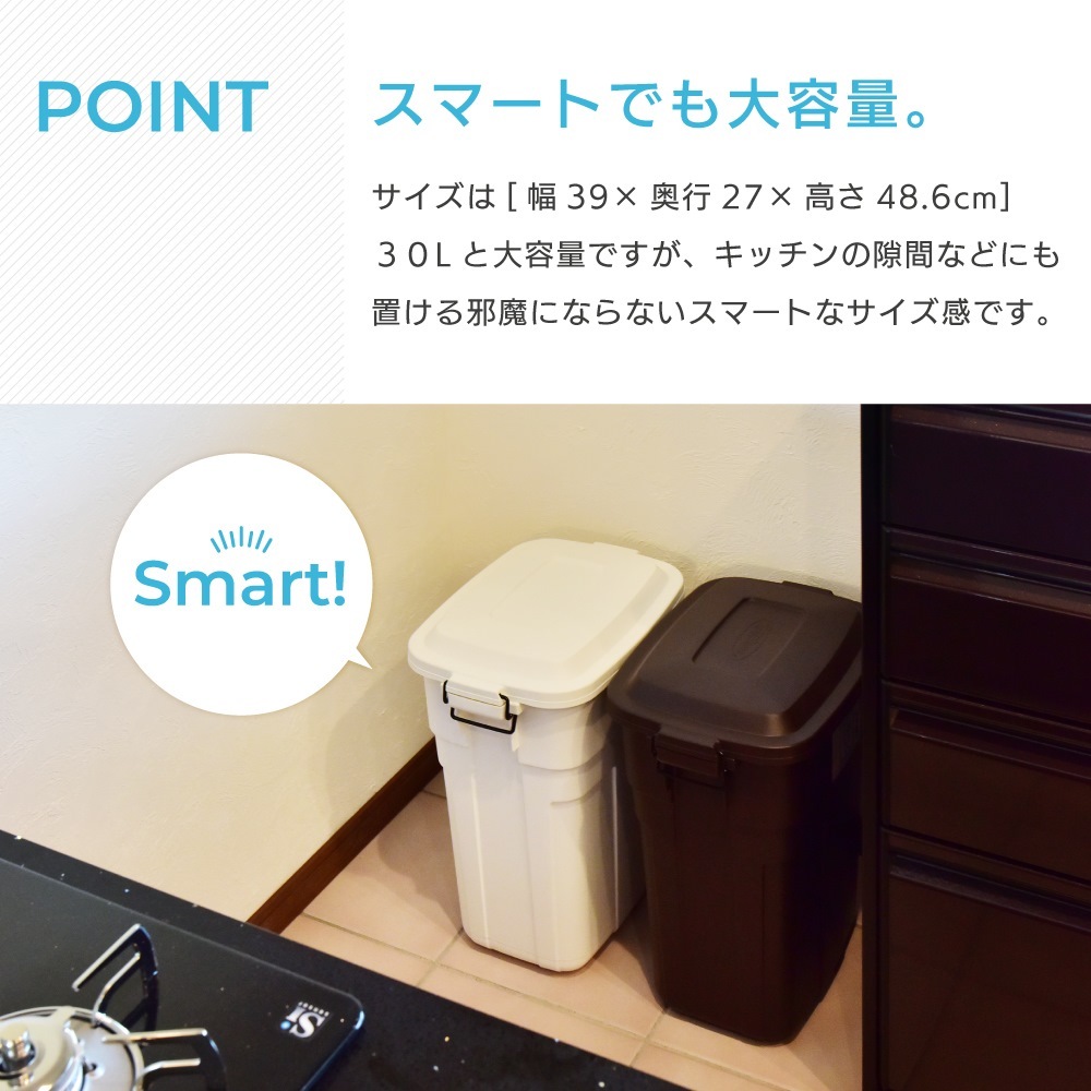 ストロベリー様　ダストボックス　30L アメリカン　お洒落ゴミ箱　分別ゴミ箱 maisonplus_lfs-767