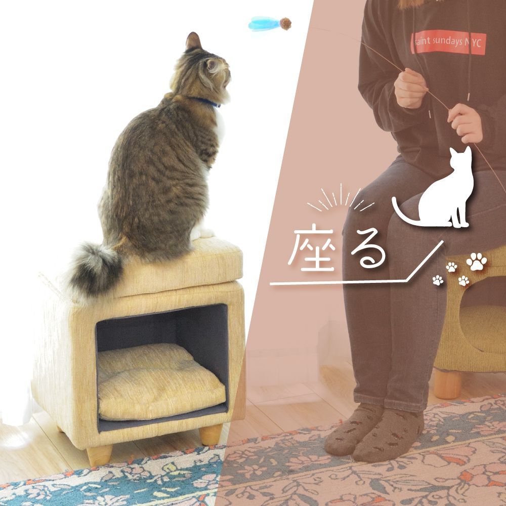 ペットハウス キャットハウス ペットスツール 室内用 スツール 猫 小型