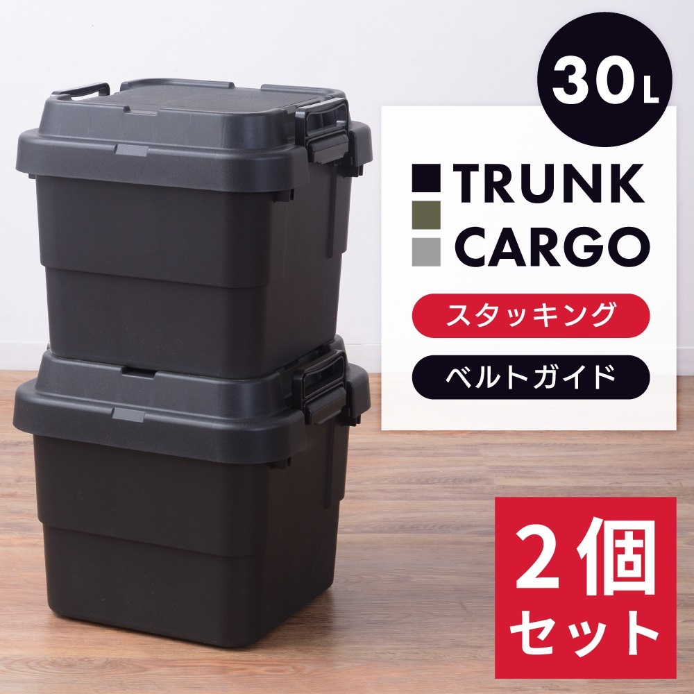 東谷 コンテナボックス 容量30L 2個セット 収納ボックス 収納ケース