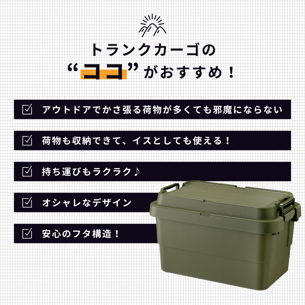 東谷 コンテナボックス 容量50L 2個セット 収納ボックス 収納ケース