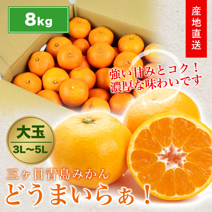 三ヶ日 青島 みかん 8kg 送料無料 大粒 どうまいらぁ！ 3L 〜 5L