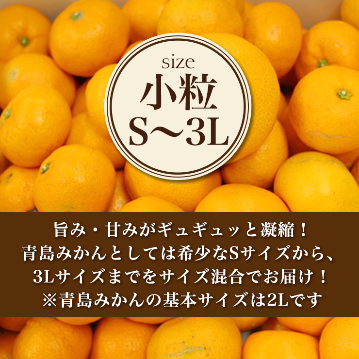 三ヶ日 青島 みかん 5kg 送料無料 サイズ混合 どうまいらぁ！ 小粒