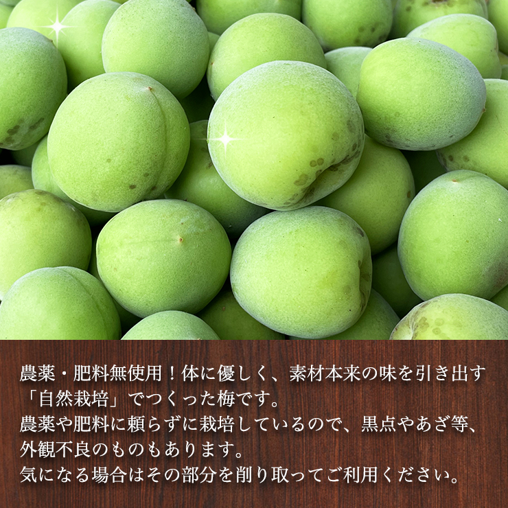 冷凍 】静岡県産 自然栽培 生 南高梅 約 5kg サイズ不揃い 送料無料