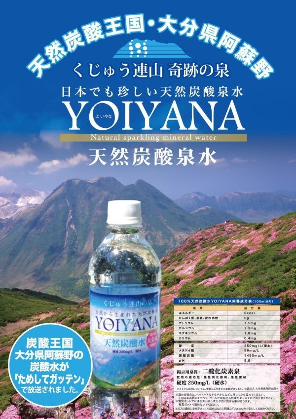 正規代理店 送料無料 住宅企画 天然炭酸水 Yoiyana よいやな 500ml 24本 糖尿病の予防 治療に期待される高濃度炭酸泉 Whitesforracialequity Org