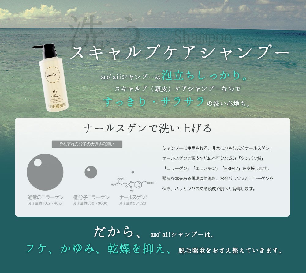 ano'aii アノアイ スカルプシャンプー 300ml anoaii : aashampoo300ml : makana mall - 通販 -  Yahoo!ショッピング