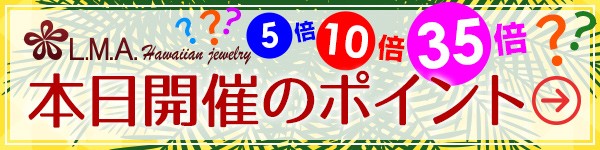 本日開催のポイント