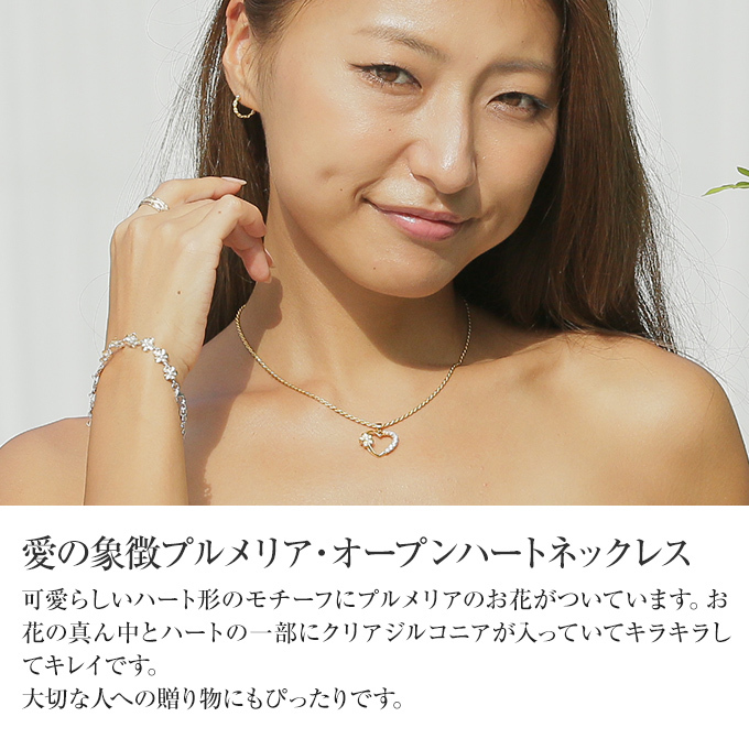 Hawaiian jewelry シルバー ネックレス