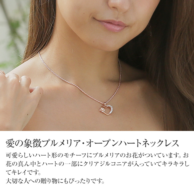 Hawaiian jewelry シルバー ネックレス