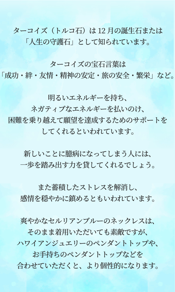 ステンレス素材 ハワイアンジュエリー