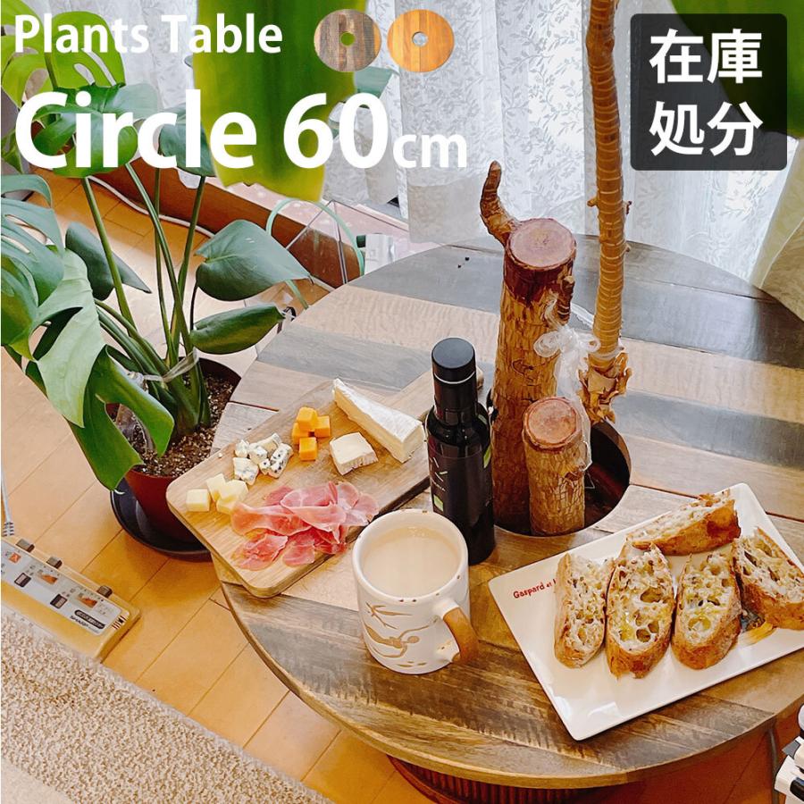 プランターテーブル プランツテーブル 観葉植物 テーブル サークル 円型  チーク材 マンゴー材 60x60cm PLT-C60 植木鉢 プラントテーブル 無垢材 